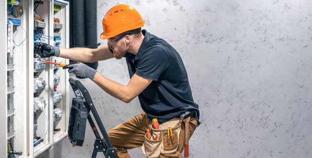 Best Electric Panel Repair  in Taylors, SC